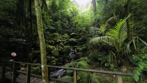 Small waterfalls running through rocks Stock Footage 284478334
