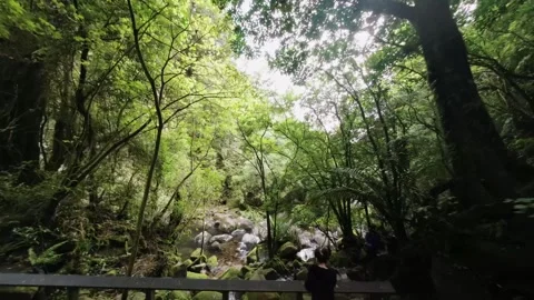 Small waterfalls running through rocks, Peacefull NZ Nature Видео 284478603