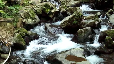 Small waterfalls stream on the big river on the jungle Stock Footage 126208526