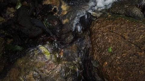 Small waterfalls surrounded by greenery of tropical forest vegetation Stock Footage 123503203