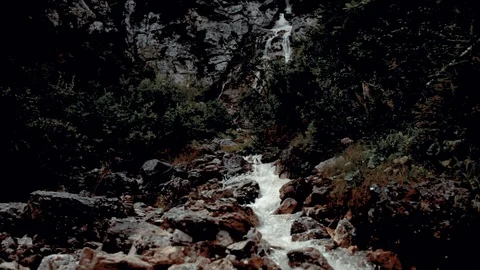 SMALL WATERTFALL BETWEEN THE WOOD Stock Footage 92016716