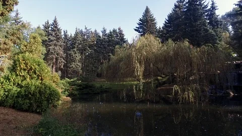 Small watherfall in a garden Video stock 97349870