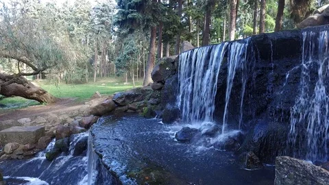 Small watherfall in a garden Video stock 97350222