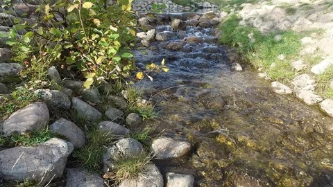 Small watherfall in the park Video stock 97344880