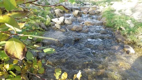 Small watherfall in a park Video stock 97344943