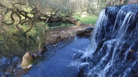 Small watherpfall in a garden Video stock 97350264