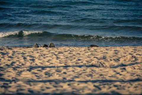 Small wave on the beach Stock Photos
