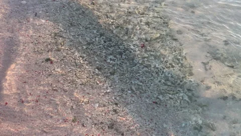 A small wave with a corals moving with the sand high angle Stock Footage 276160276