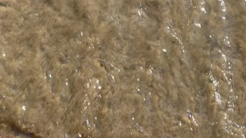 Small wave hitting the beach on a sunny day. Empty text space Stock Footage 204732710