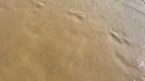 Small wave hitting the beach on a sunny day. Empty text space Stock Footage 204732767