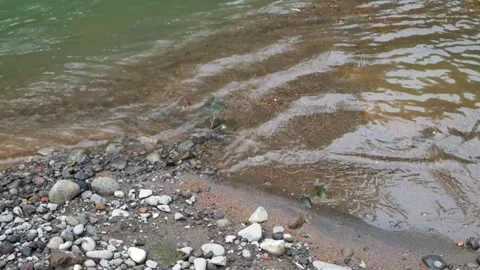 Small wave ripples on the sandy and rocky riverbank Stock Footage 306764561