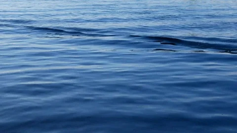 Small wave on sea Stock Footage 112823122