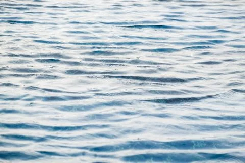 Small wave of water in the pool Stock Photos