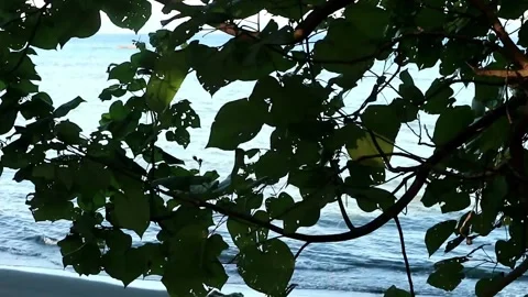 The small waves  #2 Stock Footage 201040413