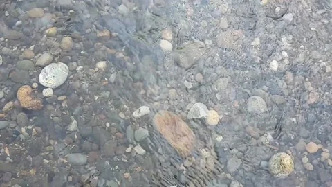 Small waves and gentle river flow between small rocks Stock Footage 195974009