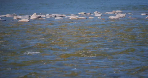 Small waves and stream in the river Vídeo Stock 130923438