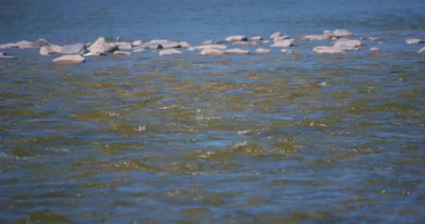 Small waves and stream in the river / Slow motion Stock Footage 130923745