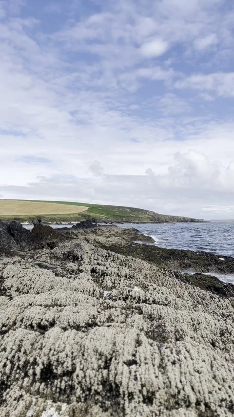 Small waves are hitting the cliffs. Stock Footage 285337646