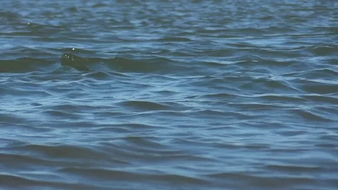 Small waves that are produced by the flow of water to the mouth of the river  Stock Footage 78221730