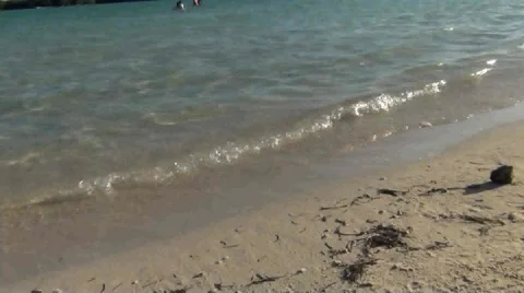 Small Waves on a Beach Stock-Footage 37226496