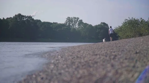Small waves on the beach Vídeos de archivo 98301348