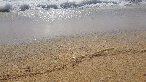 Small waves on the beach Stock Footage 281195245
