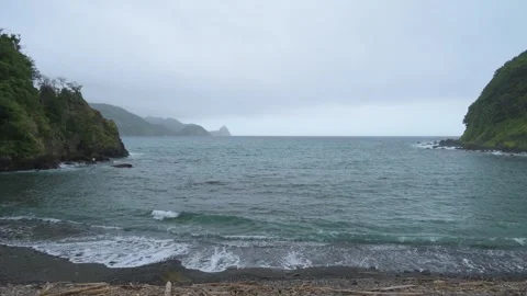 Small waves at the beach on a moody day, Izu Peninsula Stock Footage 315010681
