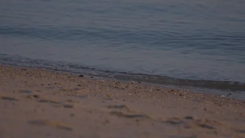 Small Waves Beach Sand Ocean Sea Morning 動画素材 251806591