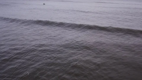 Small waves between sets Stock Footage 82702251