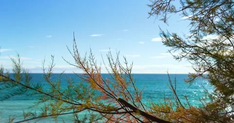 Small waves breaking on the reefs in the Italian sea throught some tree slowed Stock Footage 243420580