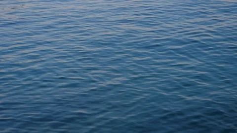 Small waves on the calm sea in the early morning with subtle motion 01 Stock Footage 90336466