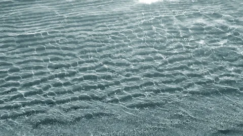 Small waves of clean transparent water rolling onto sand of shore on sunny day Stock Footage 294667312
