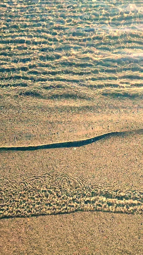 Small waves of clean transparent water rolling onto sand of shore on sunny day Stock Footage 294667649