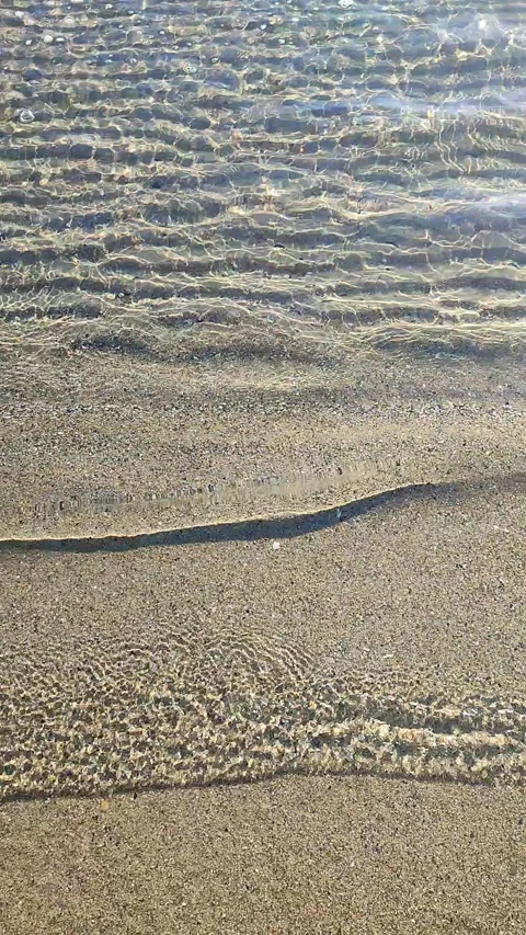 Small waves of clean transparent water rolling onto sand of shore on sunny day Stock Footage 295685421