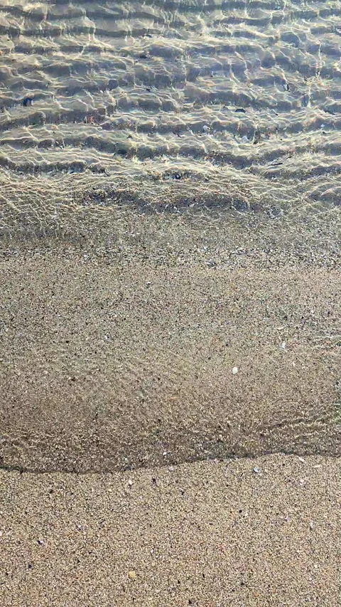 Small waves of clean transparent water rolling onto sand of shore on sunny day Stock Footage 296045091