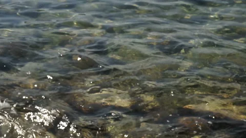 Small waves on clear water and stones at the bottom Stock Footage 107195800