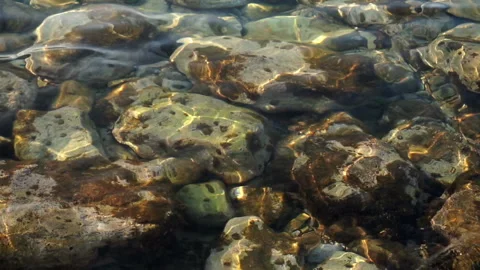 Small waves on clear water and stones at the bottom Stock Footage 107201262