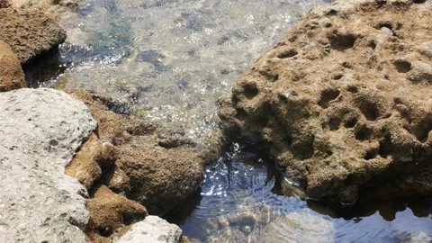 Small Waves Cover Reef Stock Footage 136322988