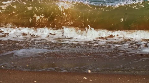 Small waves crash on a cave beach with individual seashells on it. Close-up Stock Footage 218405330