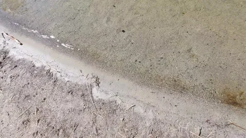 Small waves crashing over sandy beach in sunlight Stock Footage 201852770