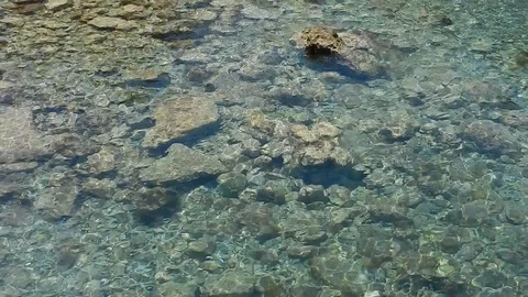 Small waves create plays of light on the surface of sea 4954 Video stock 108944405