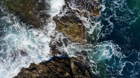 Small waves dash and wash over rocky shore place at coast, top-down aerial shot Video stock 99461774