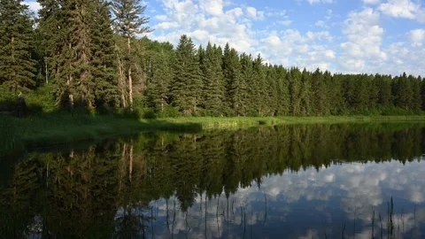 Small waves distort a near perfect reflection on a park lake as the water Stock Footage 340240184