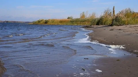 Small waves drive white foam onto a sandy shore, reeds and bushes on an empty Stock Footage 118505869