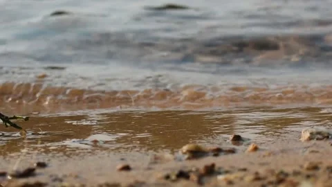 Small waves flowing and touching the shore of a lake. Stock Footage 131585025