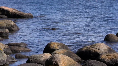 Small waves Stock Footage 50366433