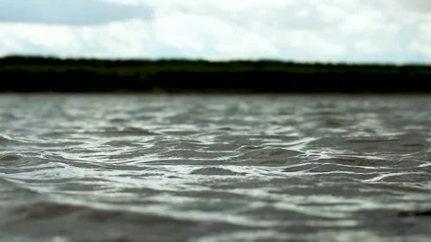 Small waves of a forest river on a sunny day, splash Stock Footage 169651584