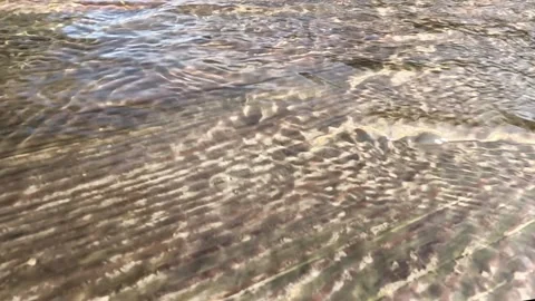Small waves forming concentric circles on river water surface Stock Footage 318922621