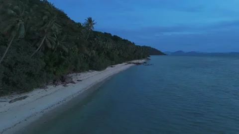 Small waves gently rolling onto sandy beach, merging with lush tropical Stock Footage 312506165