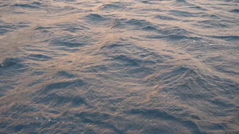 Small Waves Glowing in the Sunlight Stock Footage 265505545